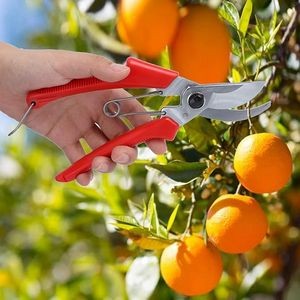 Pruning Scissor 2