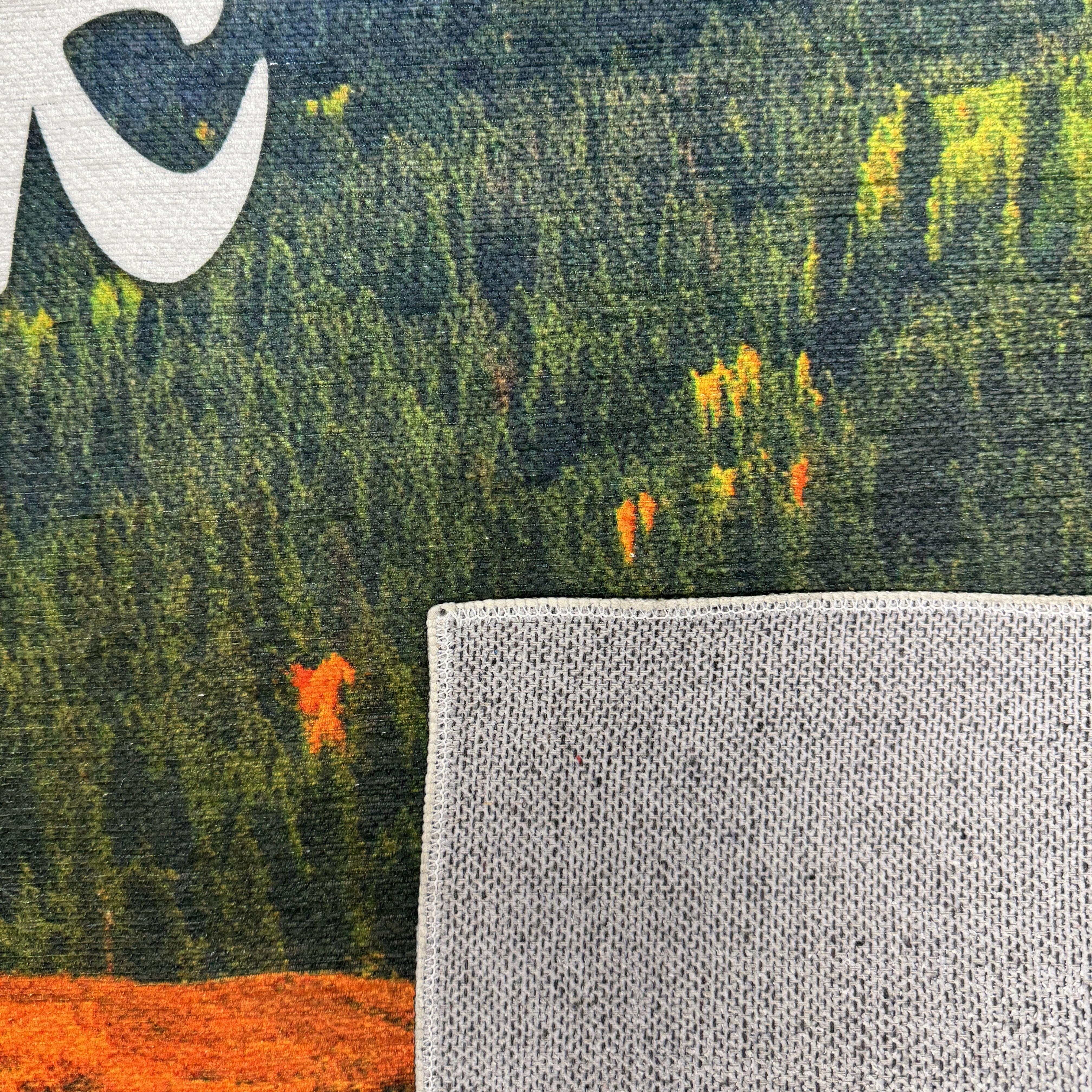 4' x 6' Floor Mat 3