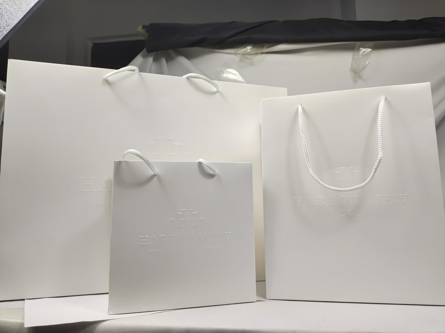 Middle Size Matte White Paper Bag 2