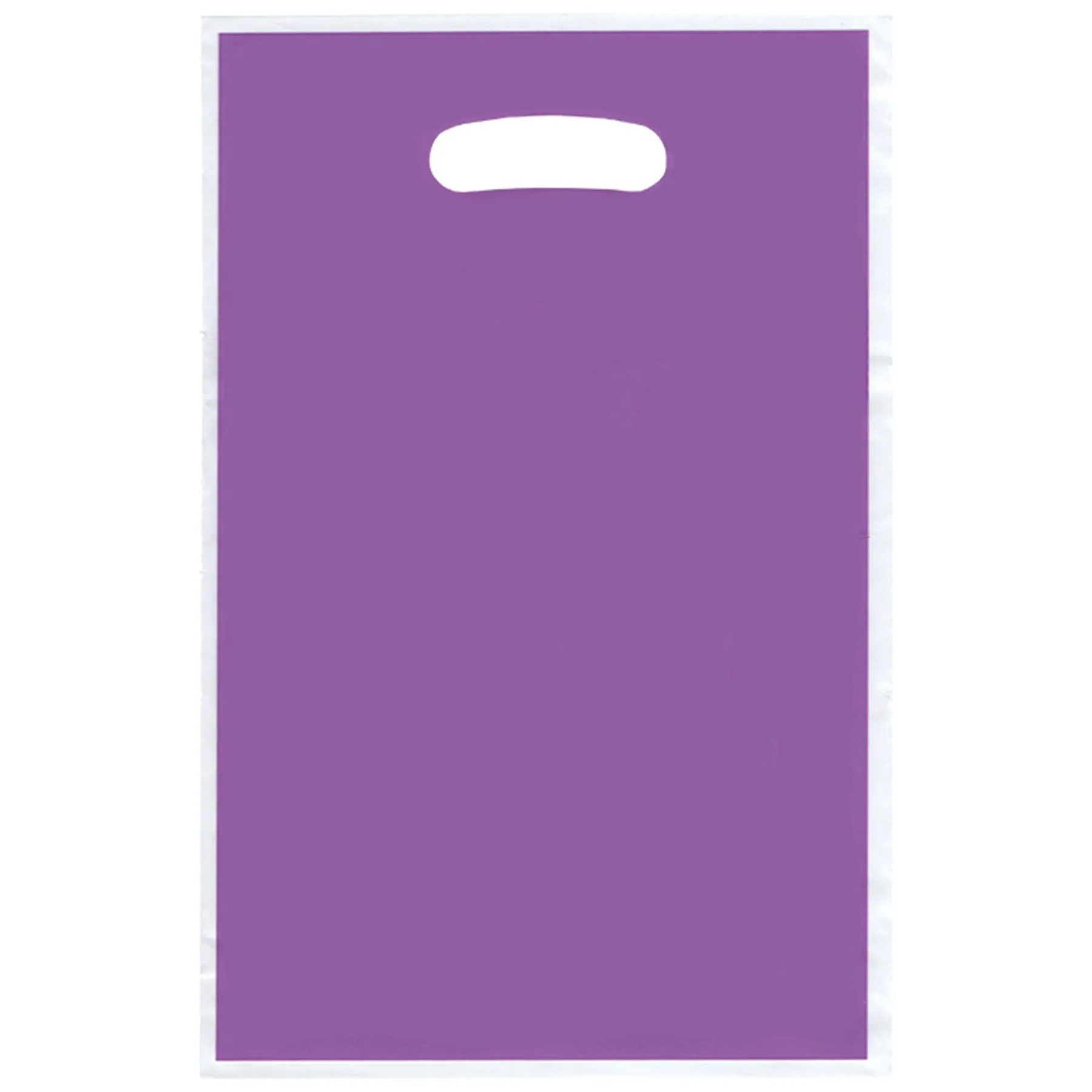 Plastic Shopping Merchandise Gift Bag 16