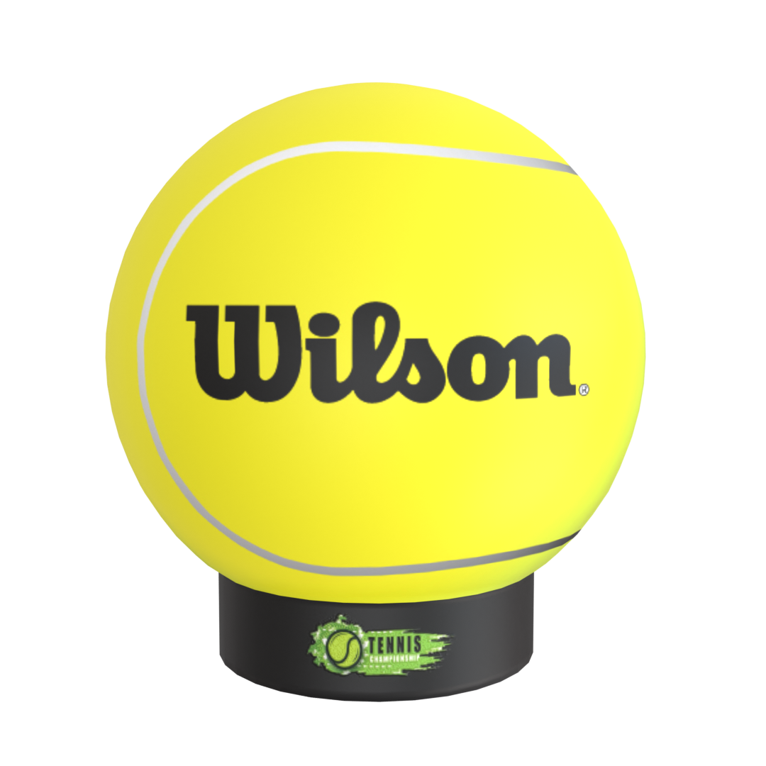 Custom Inflatable Ball 6' / 8' / 10'