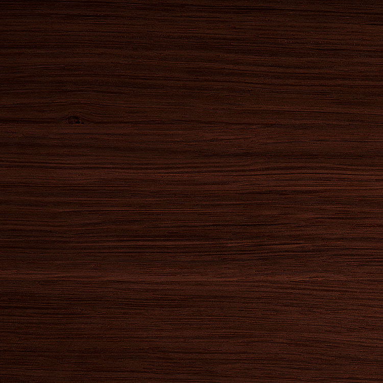 Sampler Paddle Promotional Display