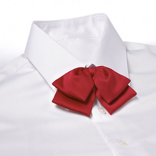 Red Adjustable Band Polyester Satin Floppy Bow Tie 2