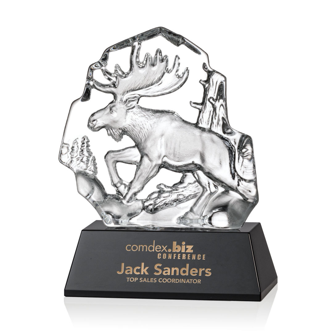 Ottavia Moose Award 5