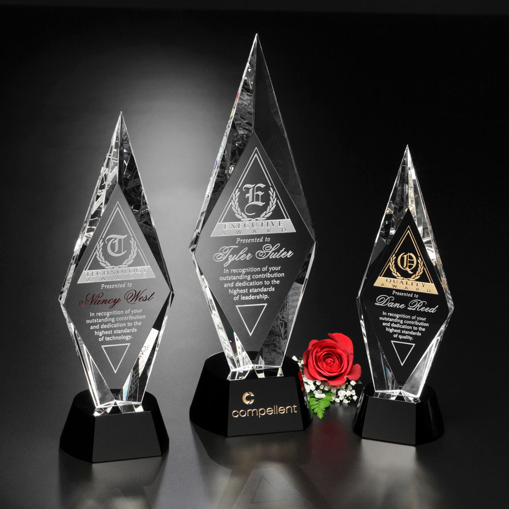 Chaska Award 6