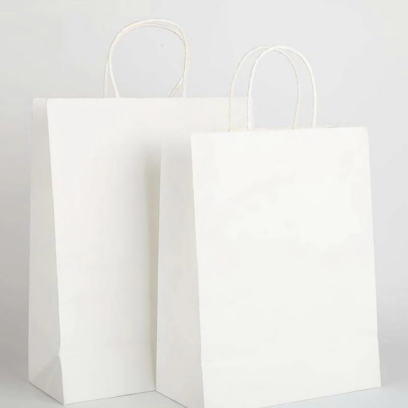 Paper Bag with Handle Bulk 5