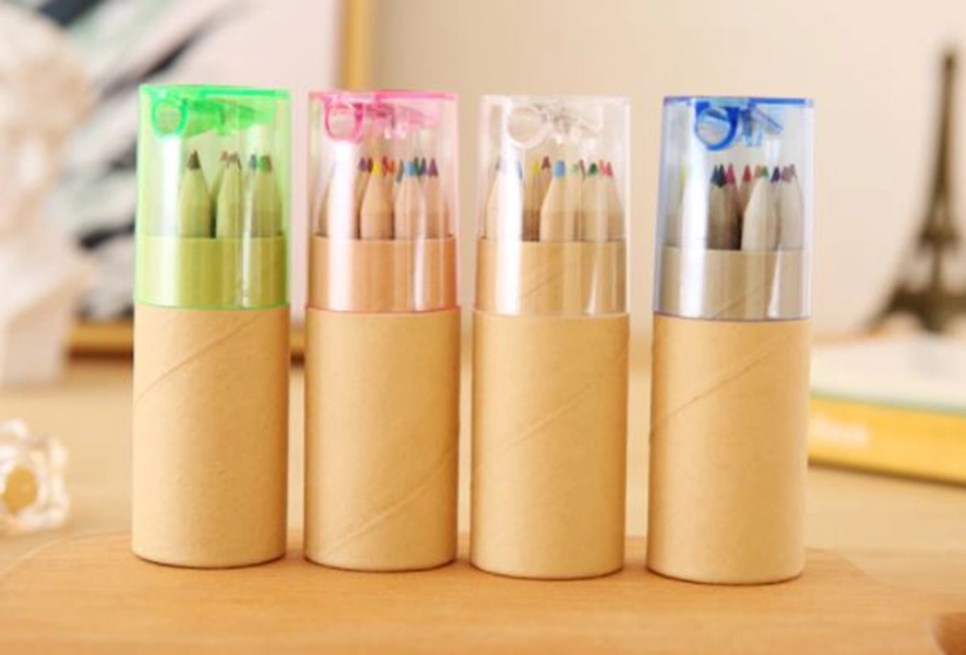 Color Pencils in Cardboard Tube 2