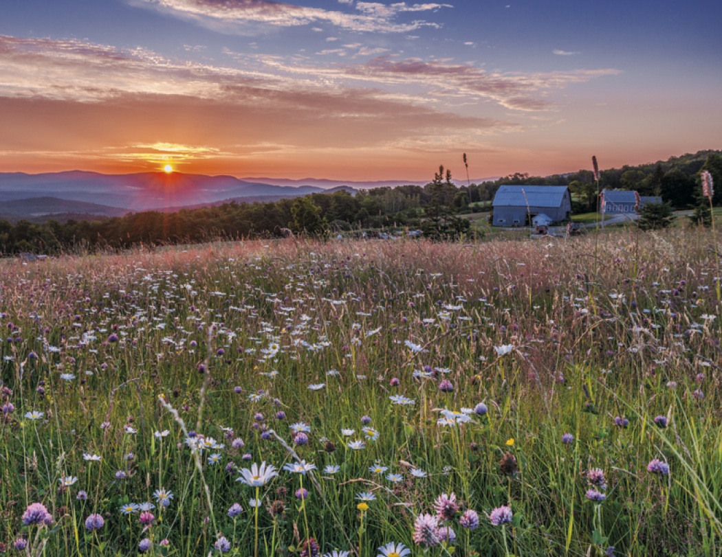 Triumph® Calendars New England Calendar 32