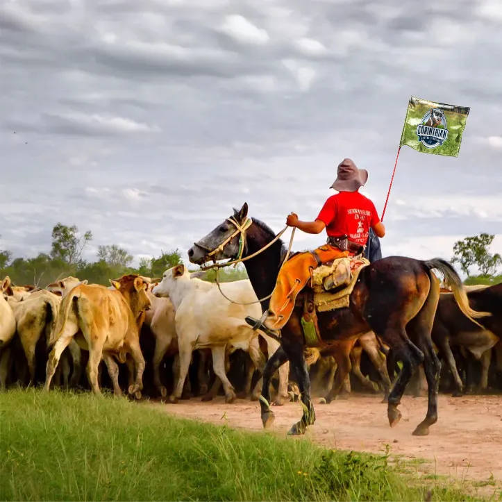 42" Red Whip Rod with 12"x12" Digitally printed Flag 1