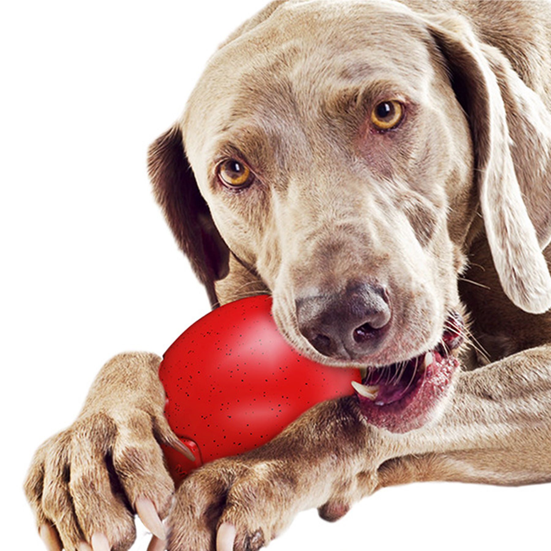 Plastic Aggressive Chewers Dog Toy Ball 8