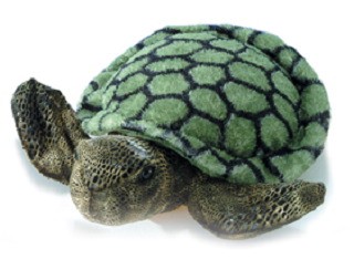 8" Splish Splash Turtle 2