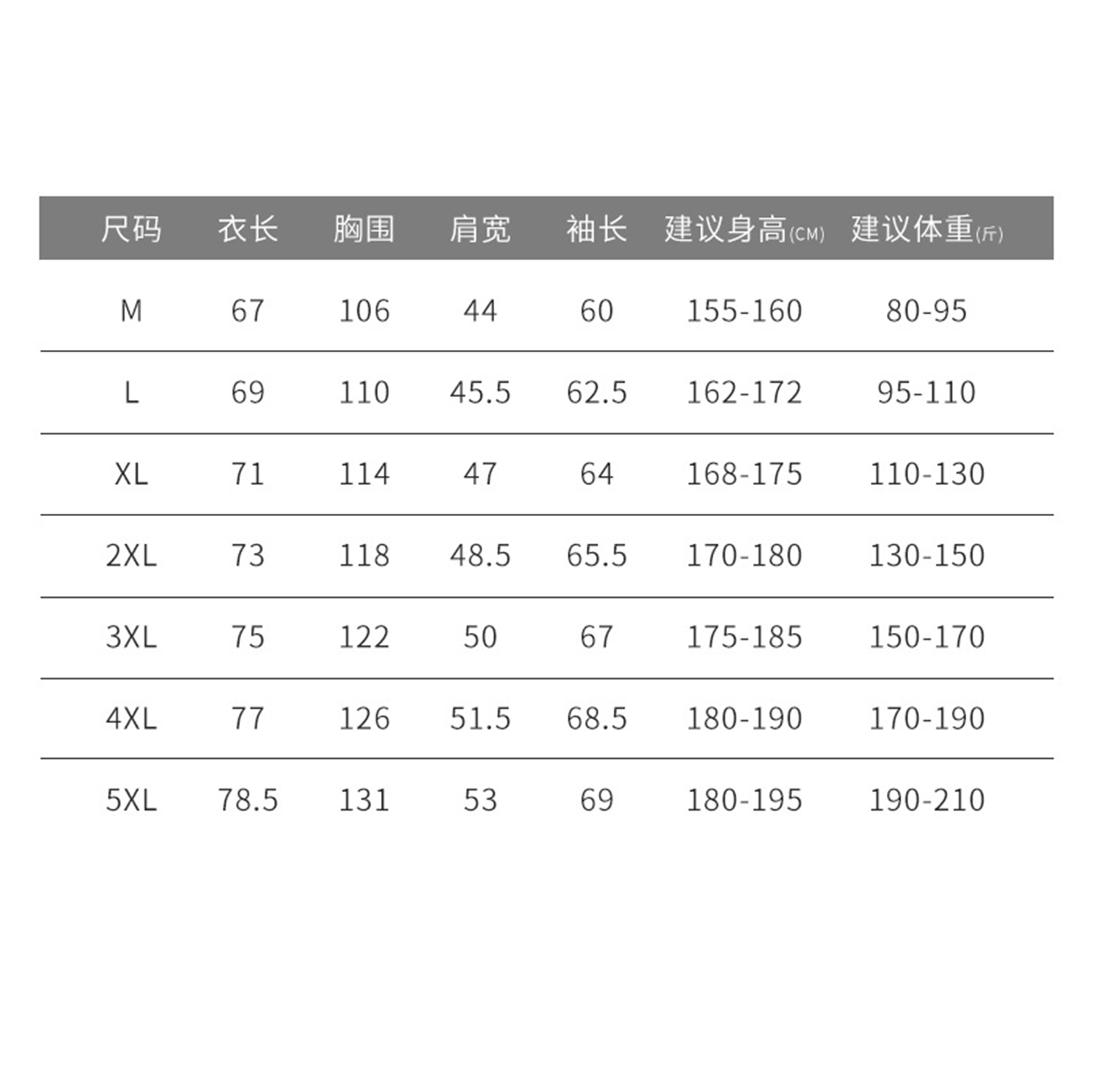 Men's Insulated Front-Zip Jacket 5