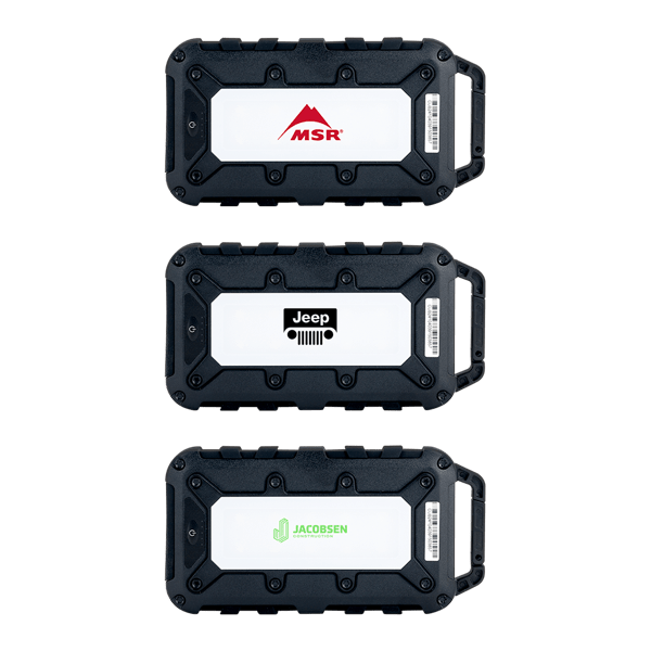 Lion Energy Cub 10000 mAh Powerbank