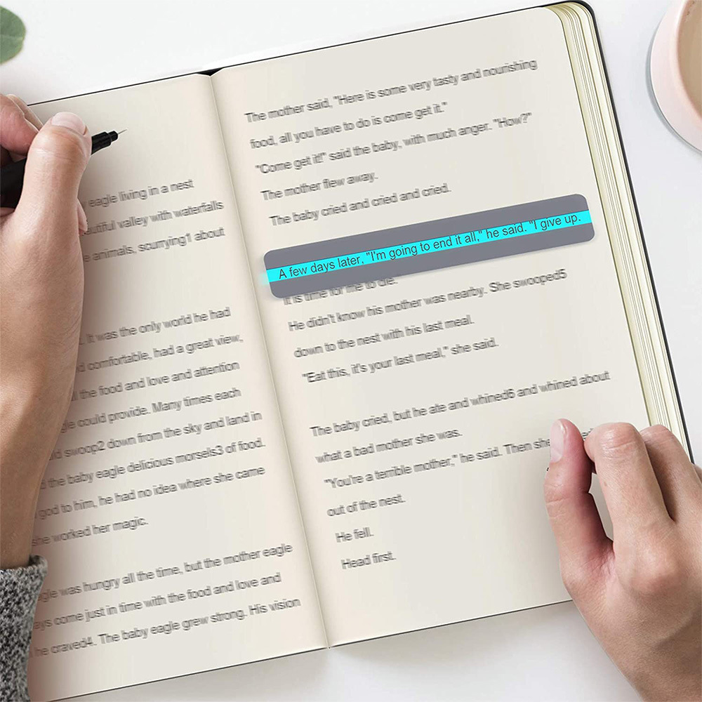 Guided Reading Strips 9