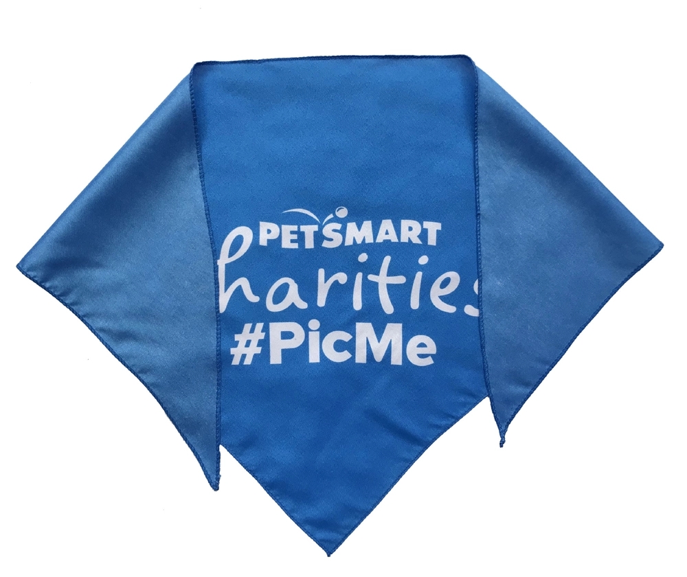 Polyester Bandanas for Dogs - Large 2