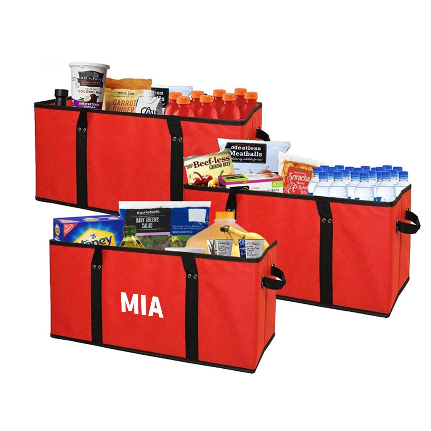 Insulated Foldable Storage Bag 2