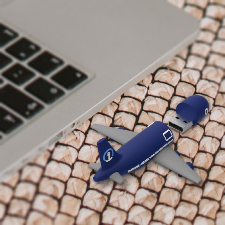 Cargo Plane USB - 1GB 2
