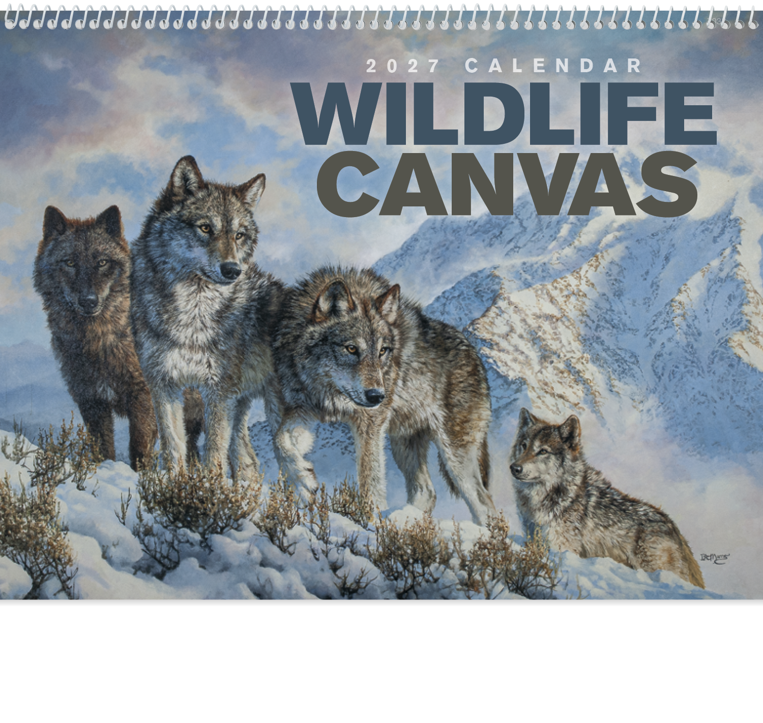Good Value™ Wildlife Canvas - Spiral Calendar 24