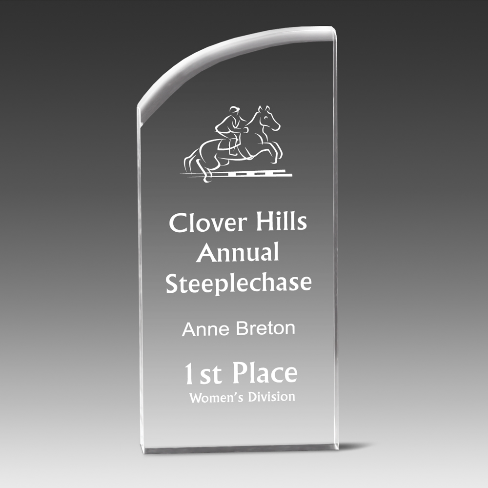 VAE Award w/Smooth Curved Accent (3"x8"x1") 2