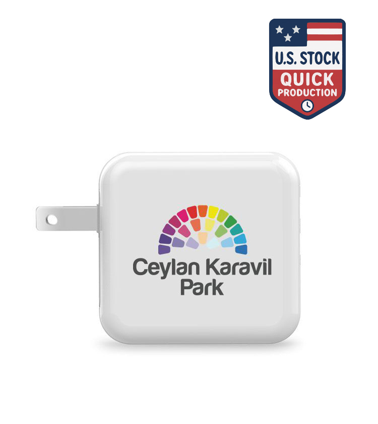 Dual USB Foldable AC Adapter for Travel 2