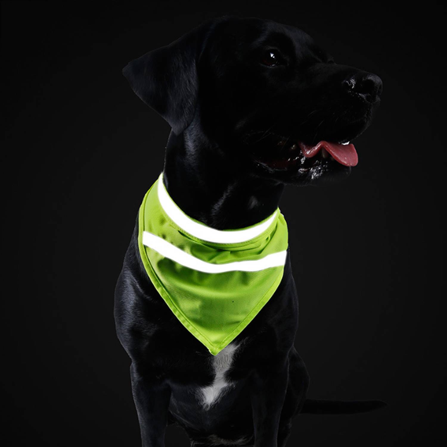 Reflective Polyester Dog Bandana 1