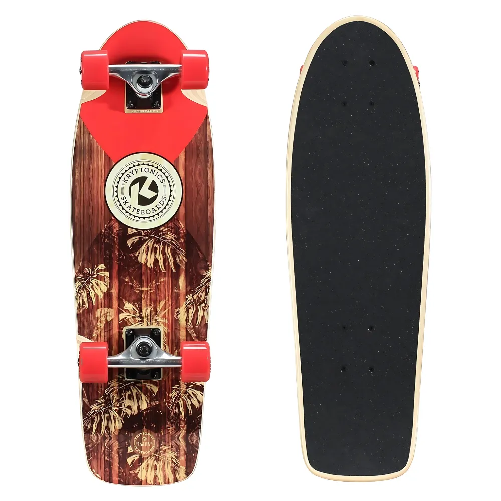 Custom Cruiser Skateboard 2