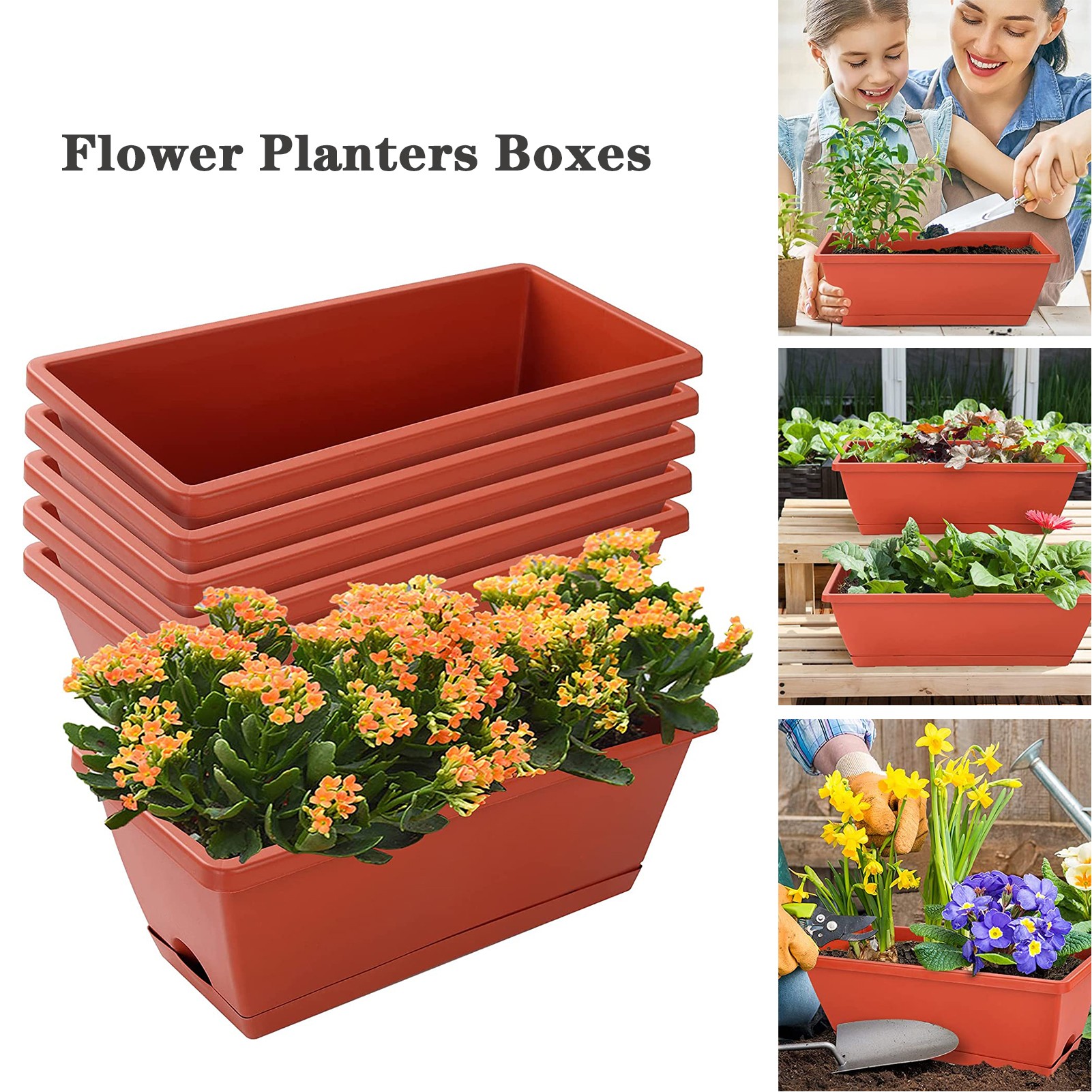 Plastic Vegetable Window Box Planter 3