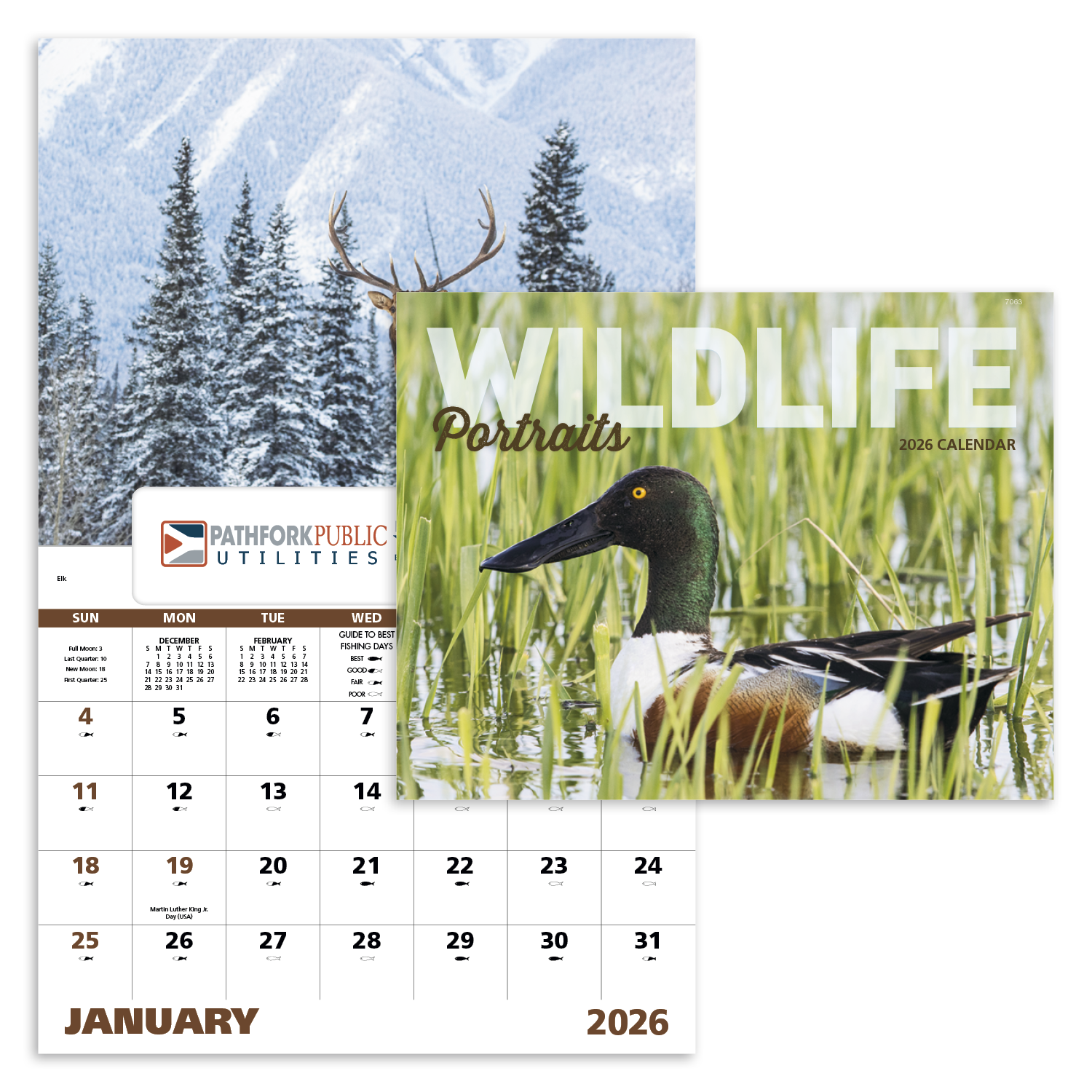 Good Value™ Wildlife Portraits - Window Calendar 42