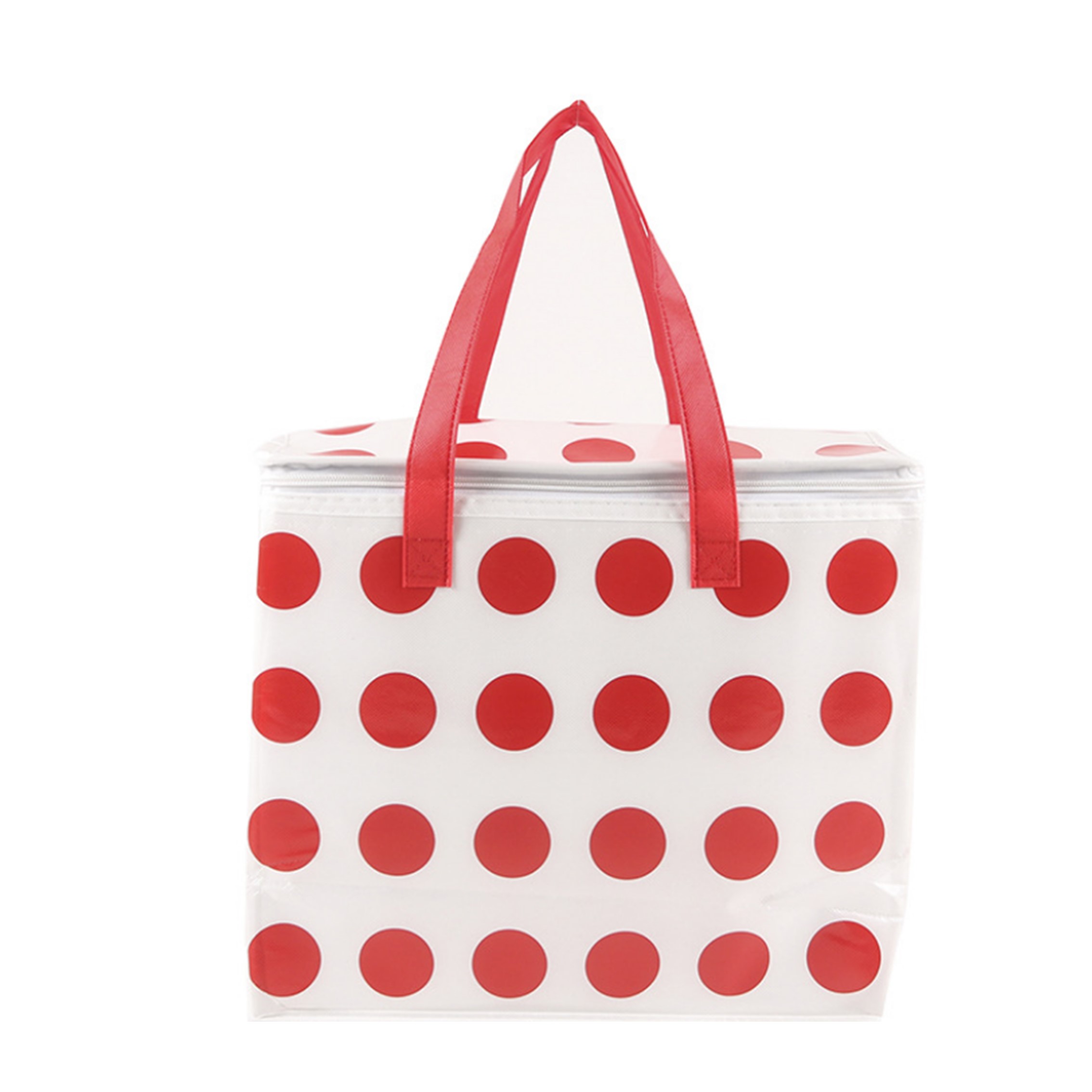 Take-out Food Bag Lunch Cooler Bag 2