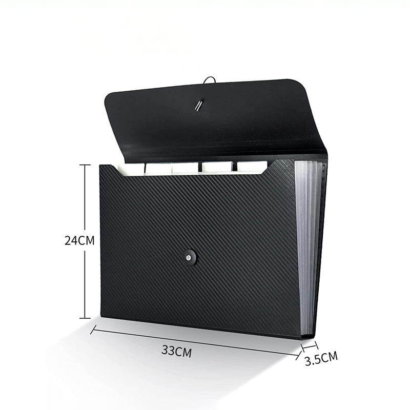 Large Size Expanding File 4