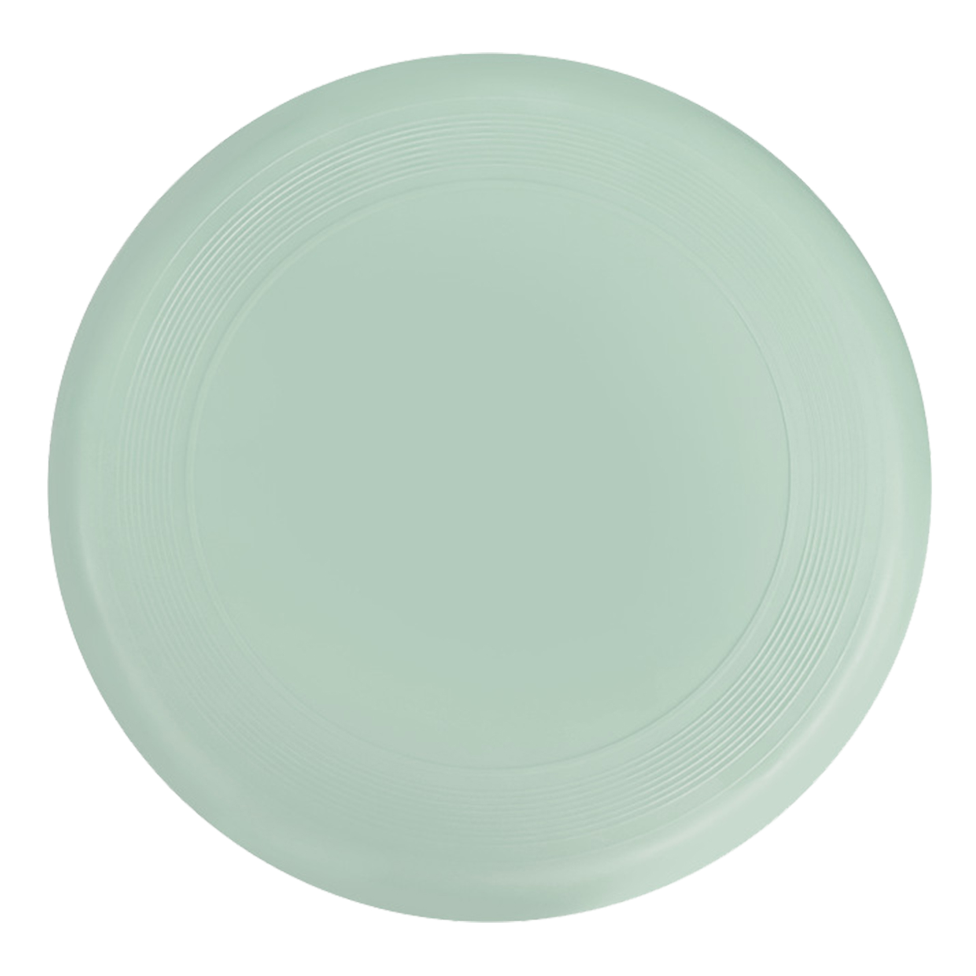 Racing Flying Disc 10
