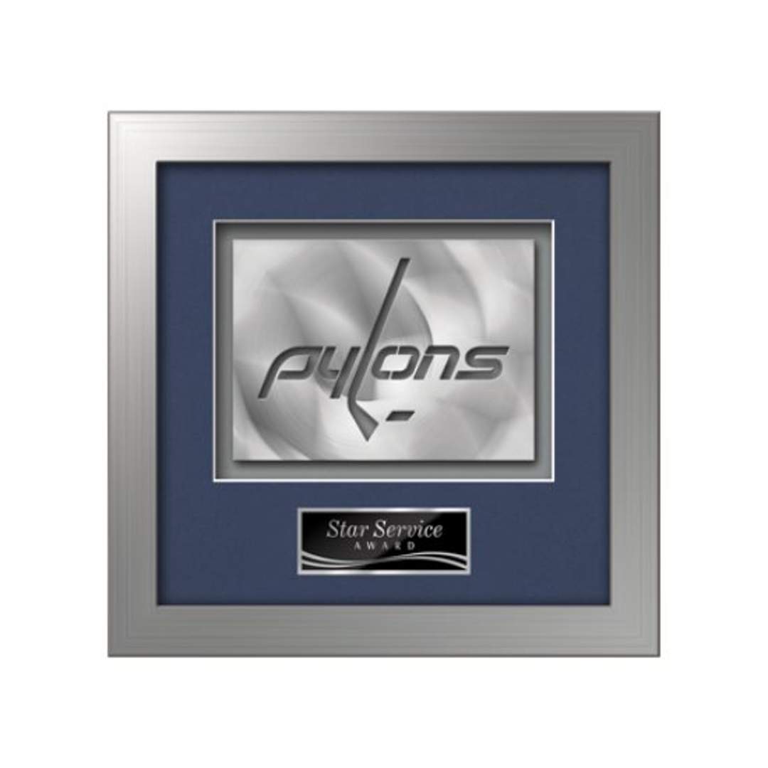 Eldridge Aquashape™ Award - Silver