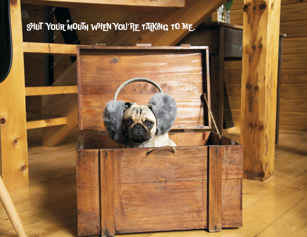 Good Value™ Pets with Attitude - Spiral Calendar 36