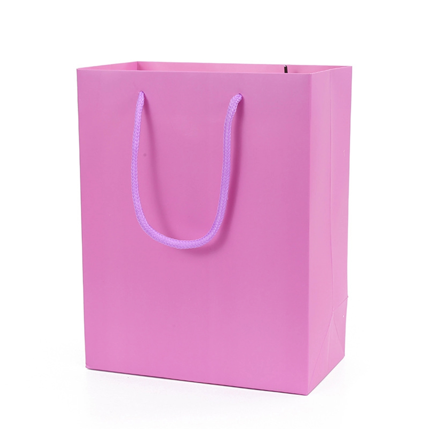Paper Handheld Gift Bag 3