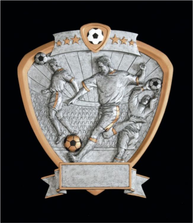 Male Soccer Signature Shield Series Award 2