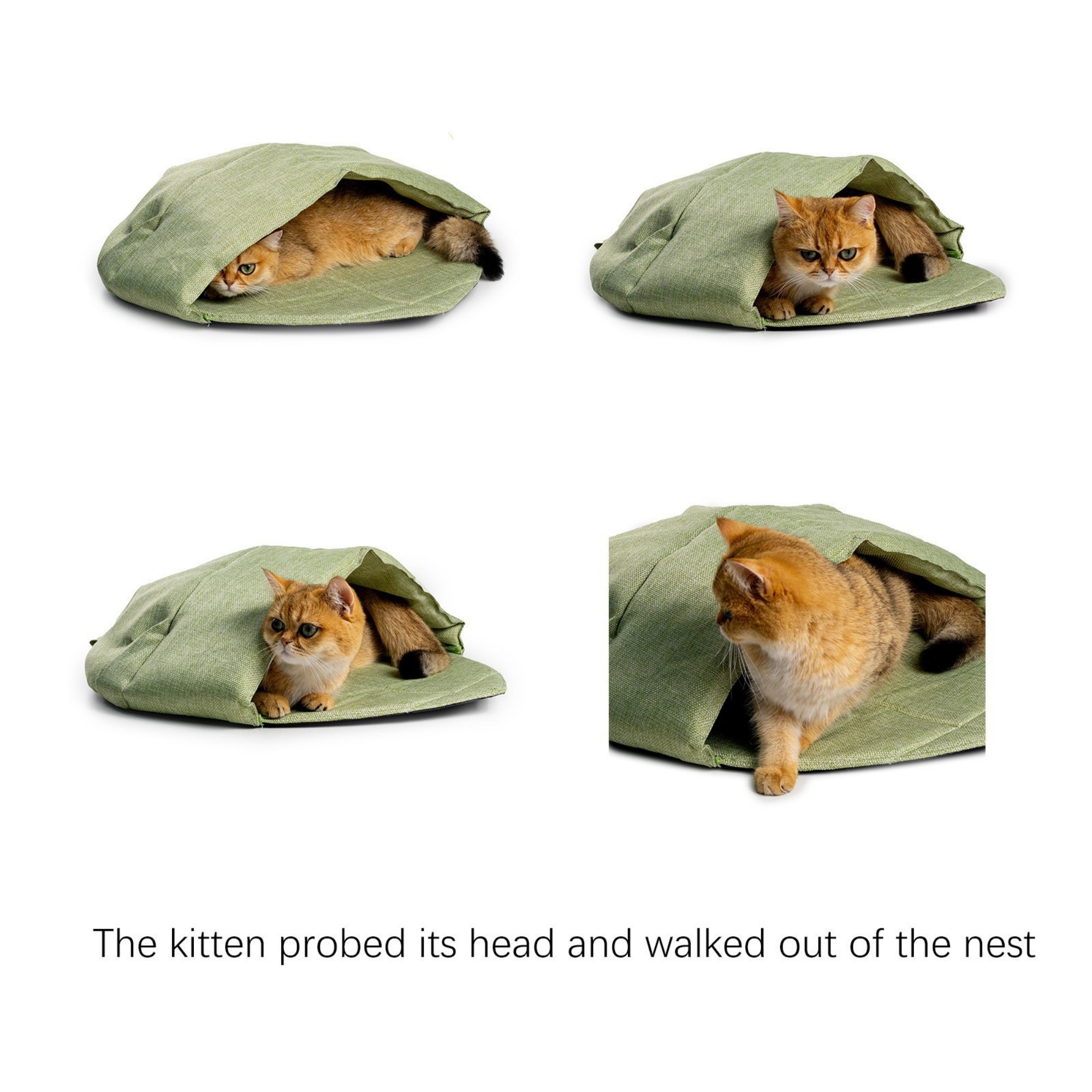 Cat Sleeping Bag 5