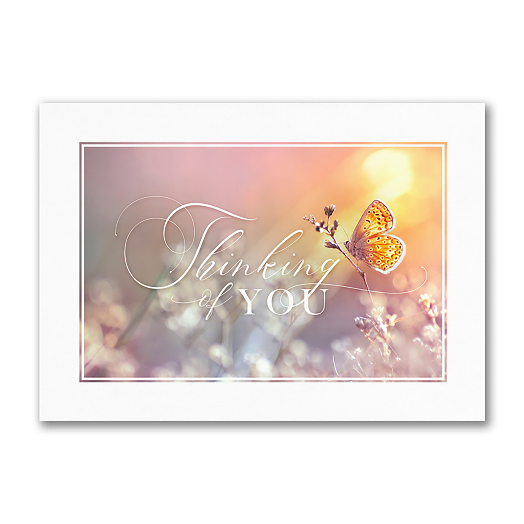 Soft Thoughts Card 3