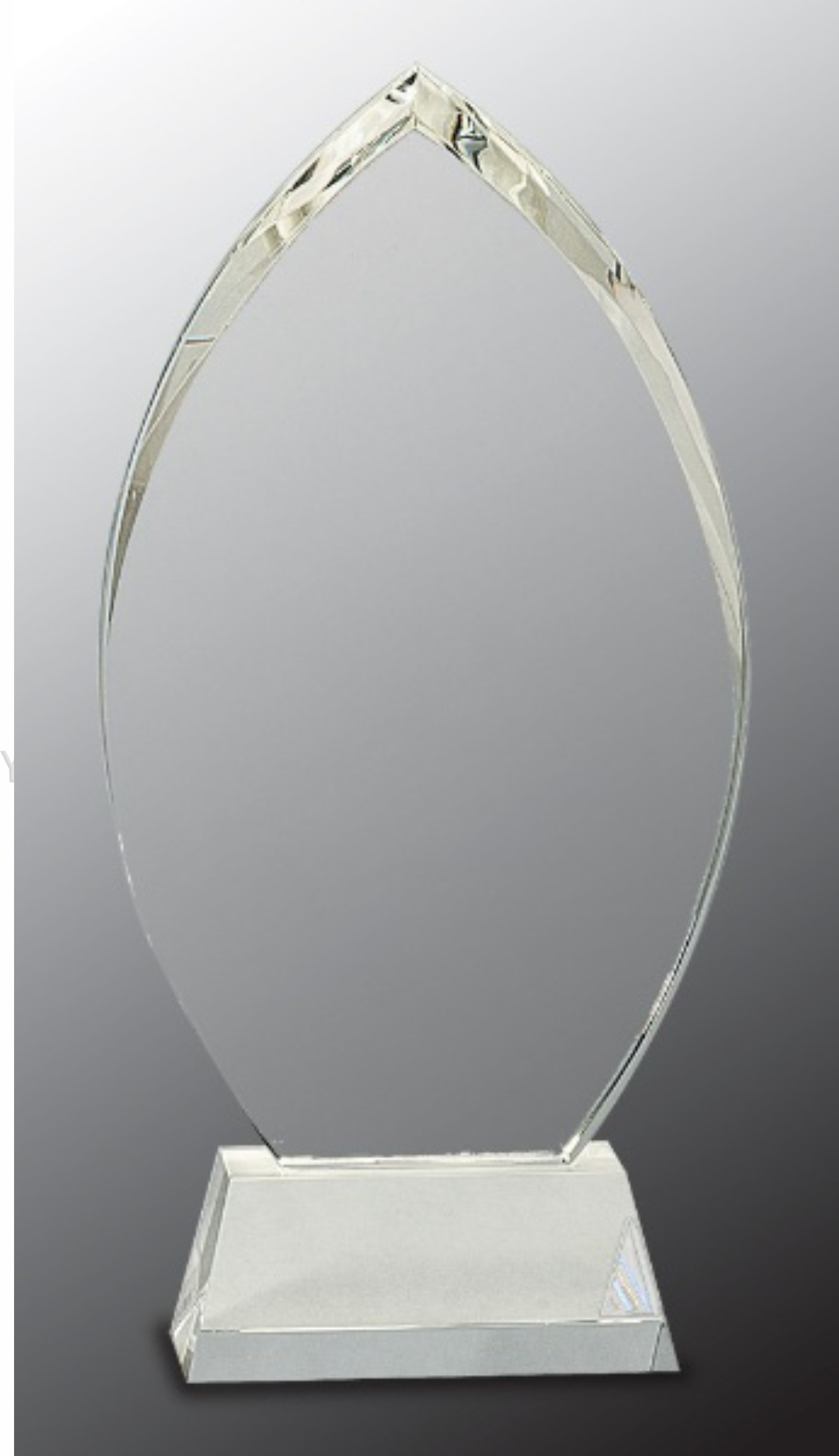 10 1/4" Crystal Oval Award on Clear Base 2