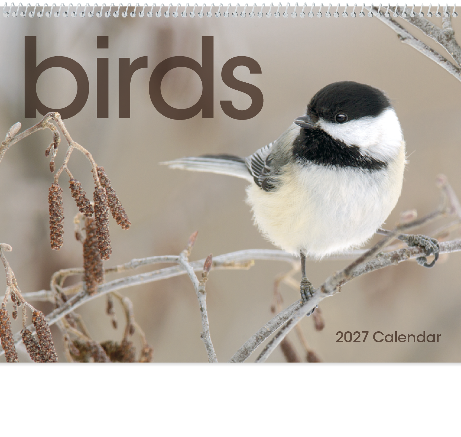 Triumph® Calendars Birds Calendar 89