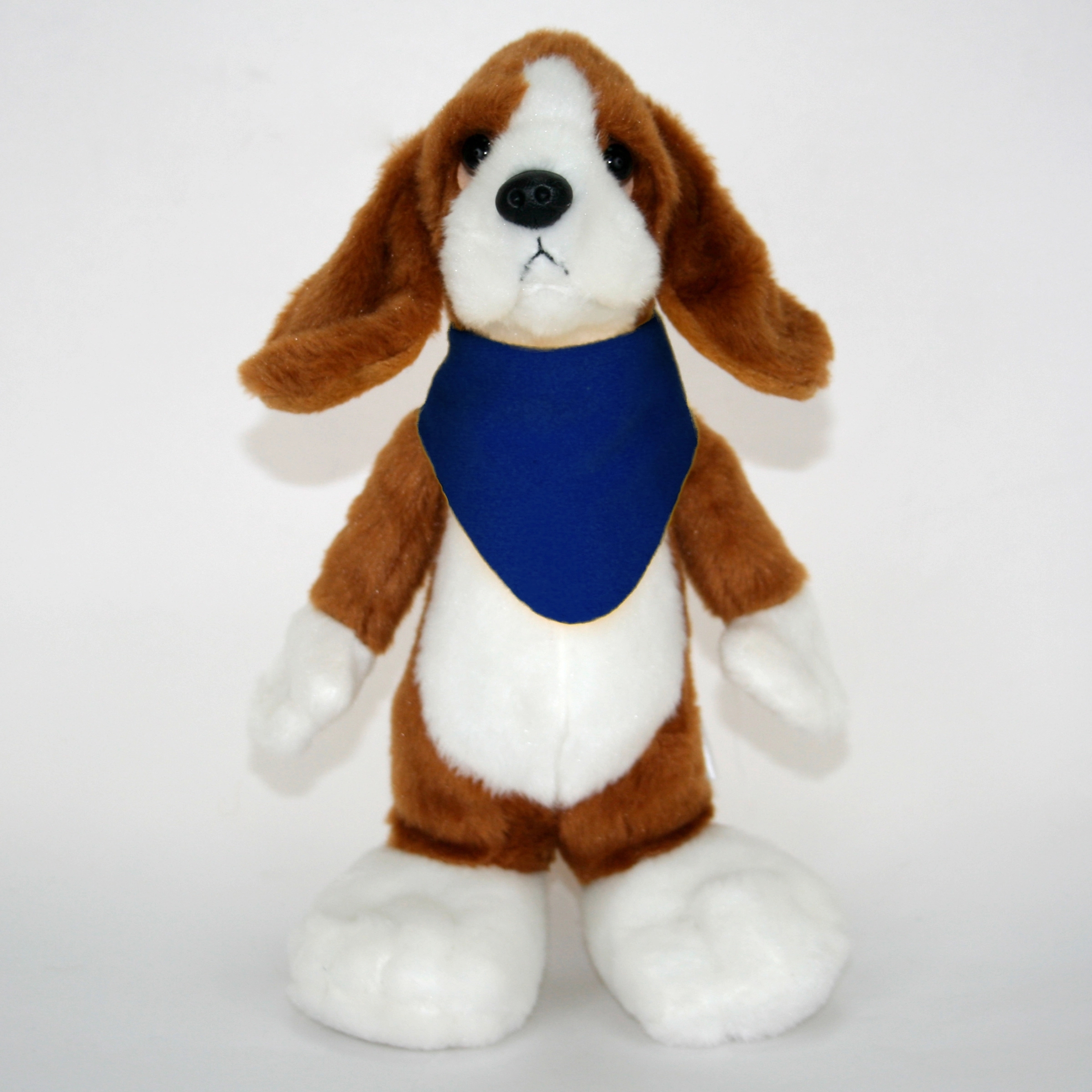 10" Long Body Beagle 13