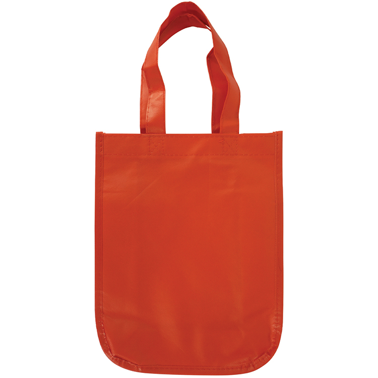 Sundale Small Matte Laminated Tote Bag 5