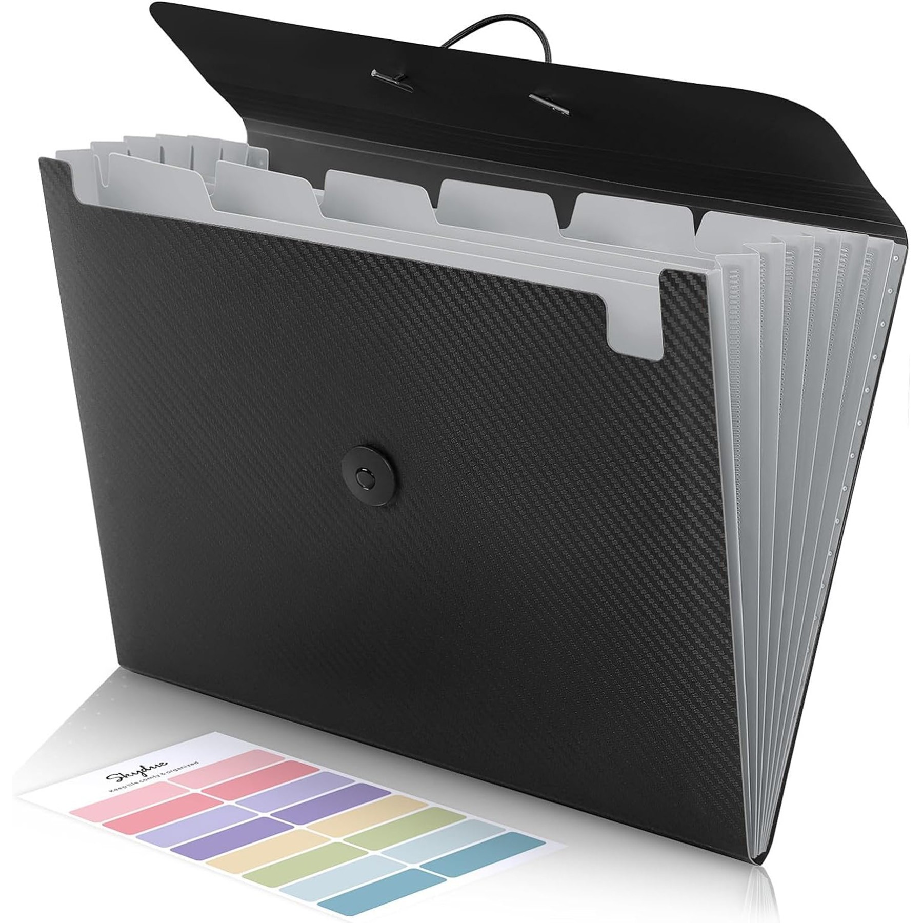 Accordion File Organizer 4