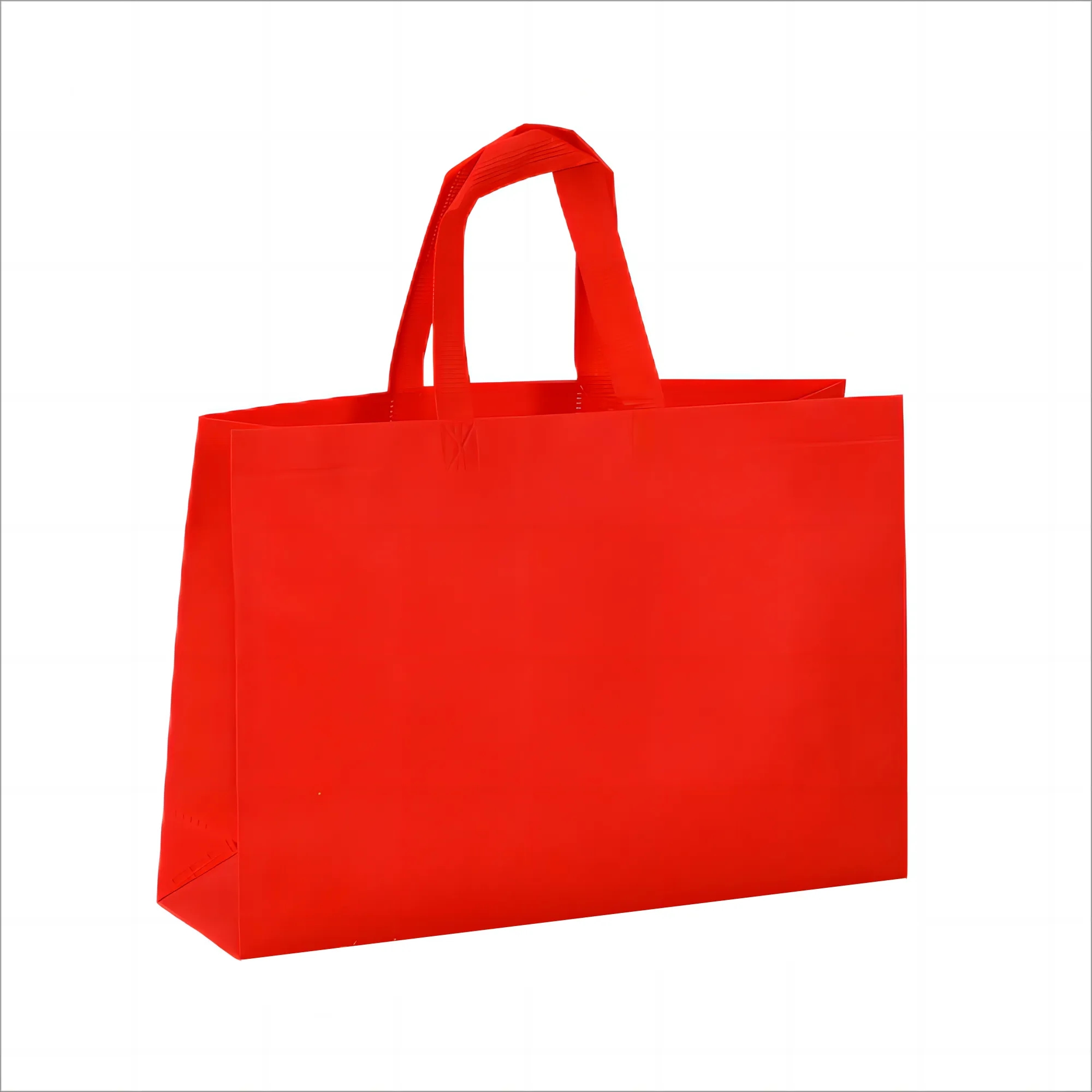 Non Woven Bag 4