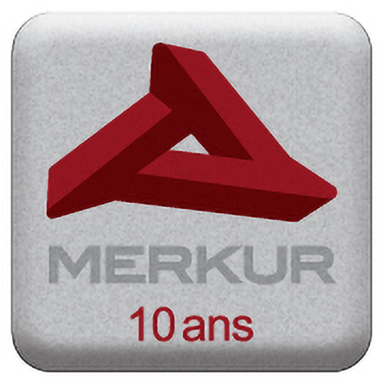 1 Sq. Inch Custom 4 Colour Process Matte Silver Polyester Domed Decal