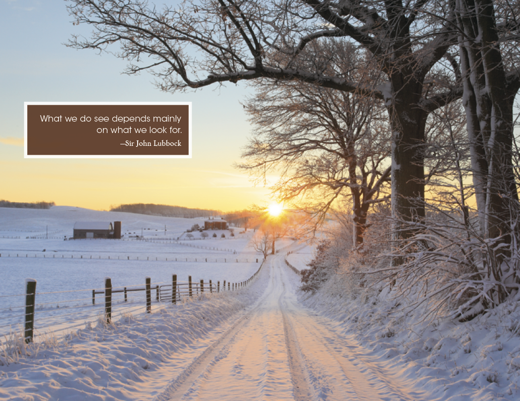 Good Value™ Inspirations for Life - Window Calendar 65