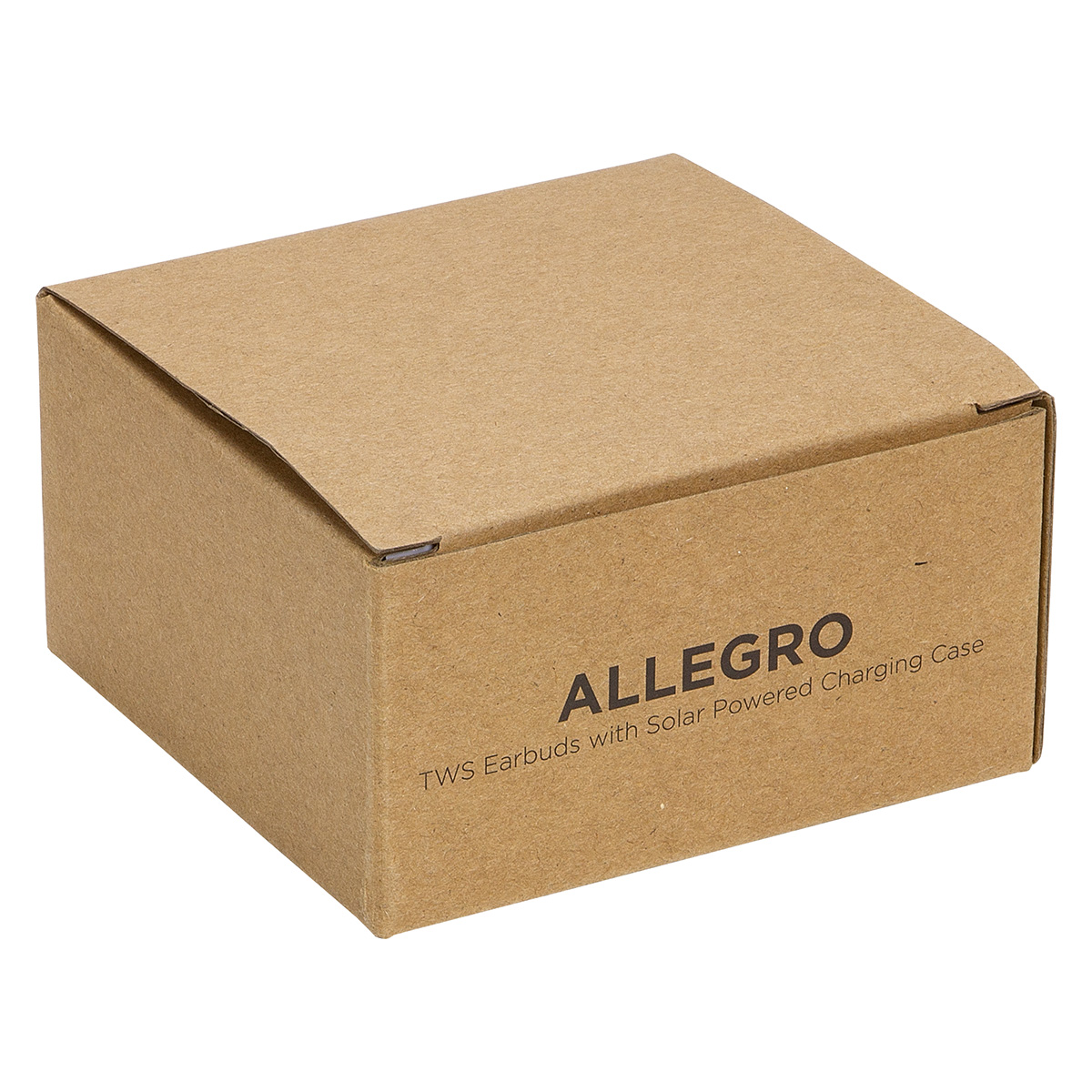 Allegro TWS Earbuds with Solar Powered Charging Case 8
