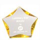 5 Inch Clear/Gold Luminary Star Acrylic Trophy 2