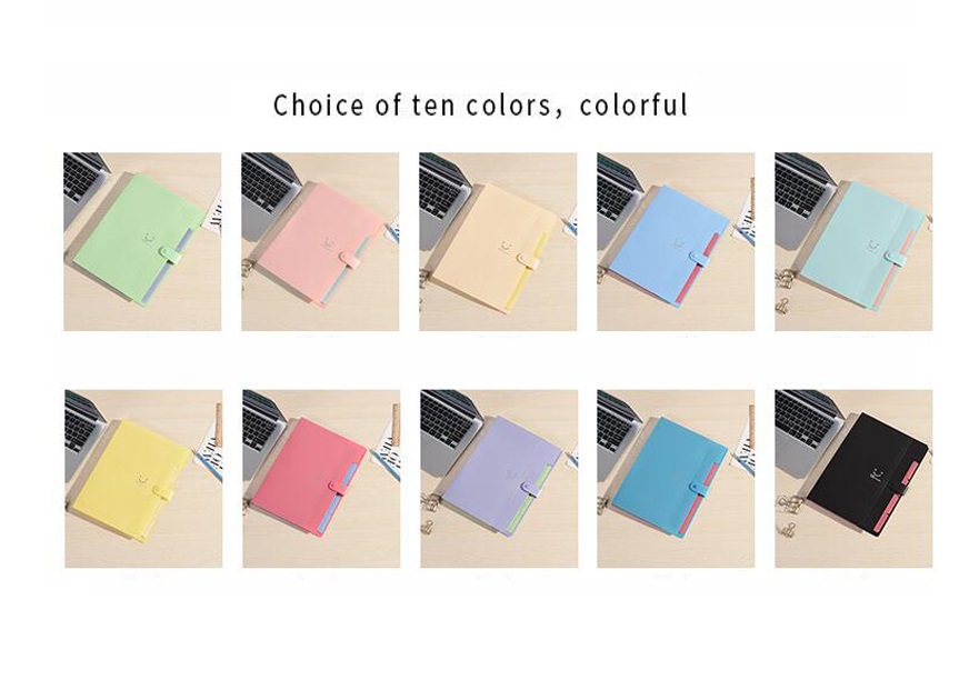 5 Pockets A4 Letter Size Expanding File Folder 2