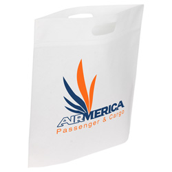 Echo Large Non-Woven Tote 4
