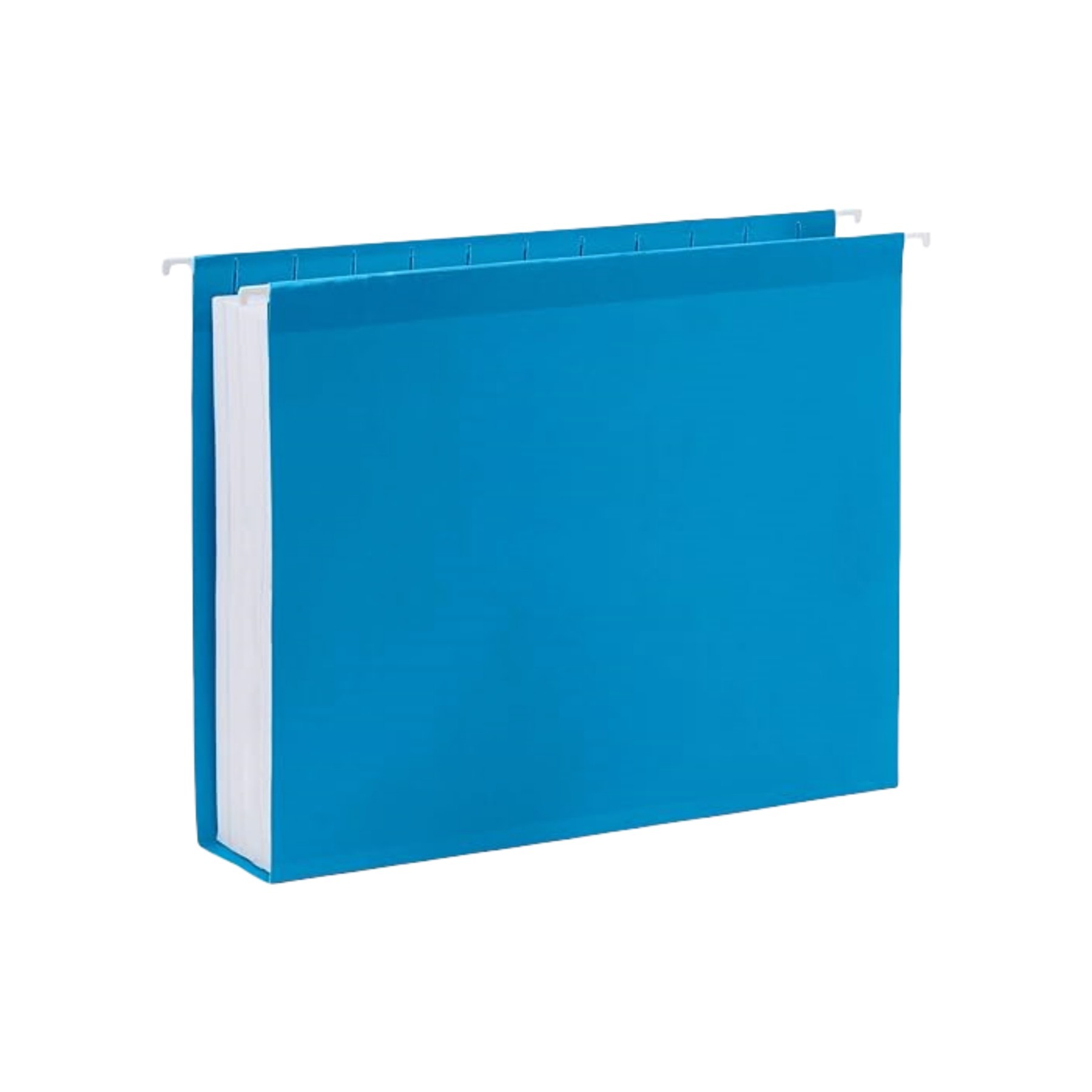 Hanging Folder 3